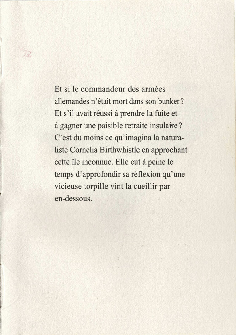 page11