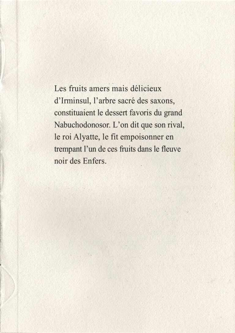 page5